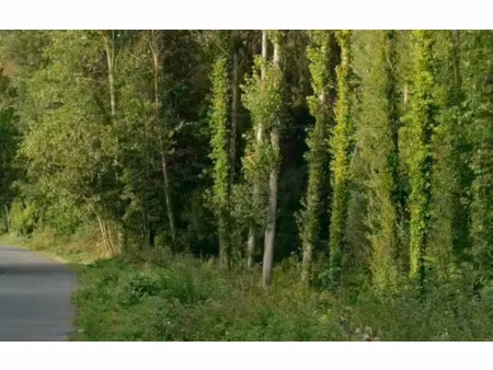 vente terrain 854 m² à ormoy-la-rivière (91150)  120 000 €