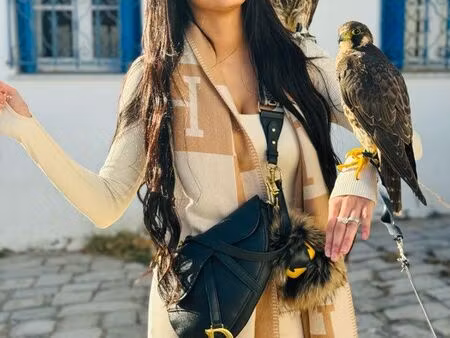 cherche appartement en location sur decines ou vaulx village