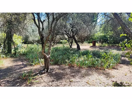 vente terrain à batir à nimes (30000)  295 000 €