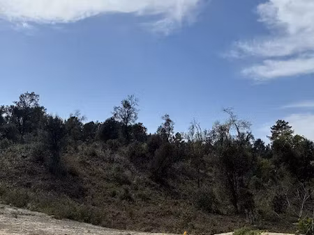 vente terrain 569 m² à labenne (40530)  335 000 €