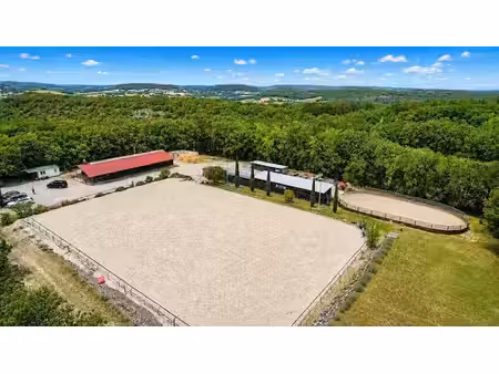 vente locaux professionnels 0 pièces 380 m² à valeilles (82150)  365 000 €