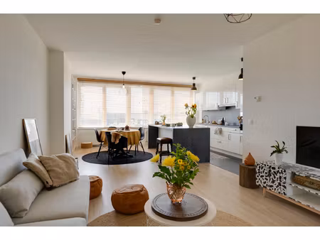 appartement te huur in borgerhout met 2 slaapkamers