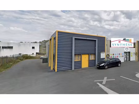 location locaux professionnels