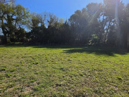 vente terrain 3100 m² maussane-les-alpilles (13520)