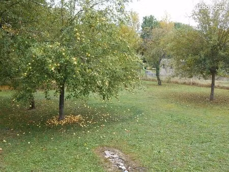 cosy et verdure appart/maison 2 pièces dans parac