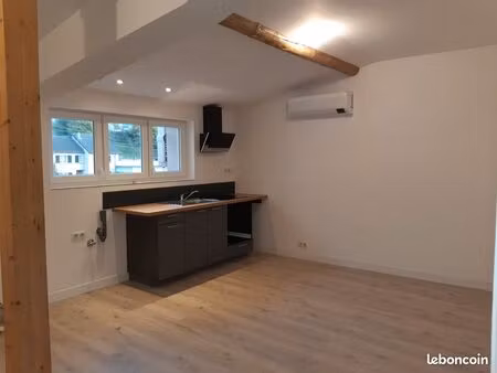 loue t3 lumineux et refait à neuf