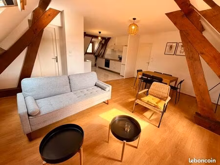 charmant f3 calme avec vue sur le château