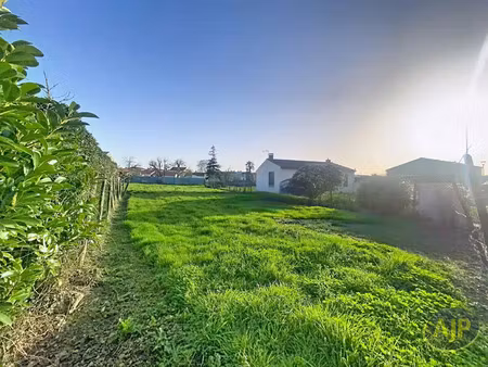 vente terrain à triaize (85580) : à vendre / 983m² triaize