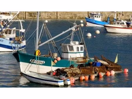 les comparateurs du neuf