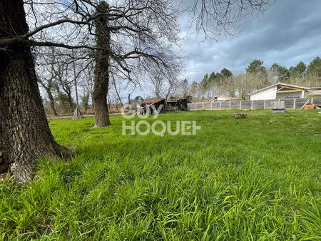 terrain parentis en born 2951 m²
