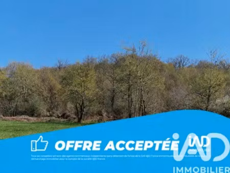 terrain à louignac (19310)