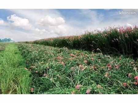 prête 40ha terre agricole graulhet éleveur animaux bovin caprin ovin luzerne sainfoin trèf