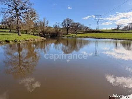 terrain 46 710 m² saint laurent d andenay