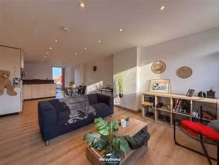 appartement 1 chambre avec terrasse