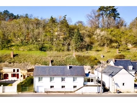 maison avec vue panoramique et caves troglodytes à luynes 37230