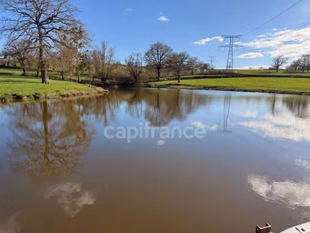 terrain à vendre saint laurent d'andenay 46710m2 69 000€