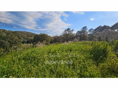 terrain à vendre lecci 1200m2 320 000€