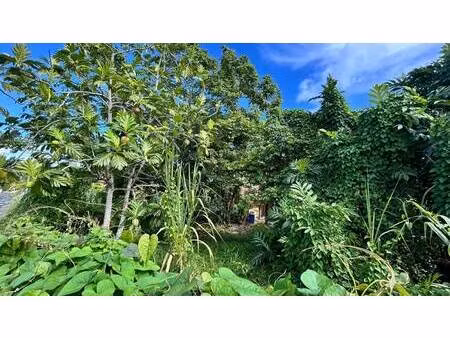 terrain constructible à vendre