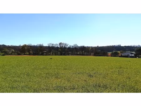 vente terrain 1400 m² à toulouzette (40250)  31 000 €