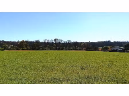 vente terrain à batir 1362 m² à toulouzette (40250)  30 240 €