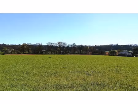 vente terrain à batir 1400 m² à toulouzette (40250)  31 000 €