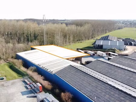 bien professionnel à louer à zottegem € 2.200 (lm8xu) - creas | zimmo