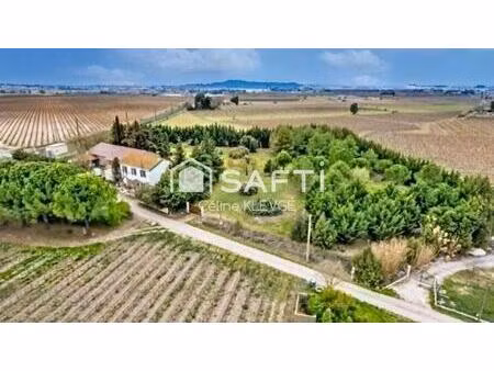 propriete renovee - 148m2 -terrain 9800m² - cave et dependances