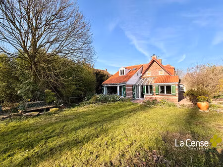 flamande individuelle