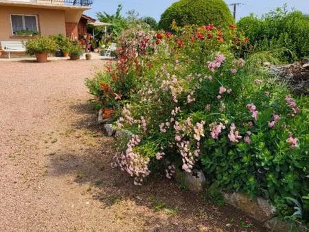 maison lons nord 9 pièce(s) 200 m2