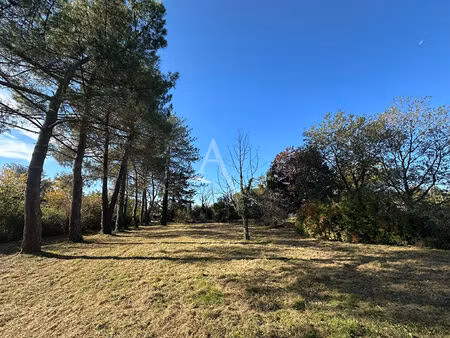 terrain buzet sur tarn 737 m²