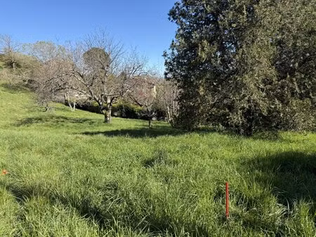 terrain