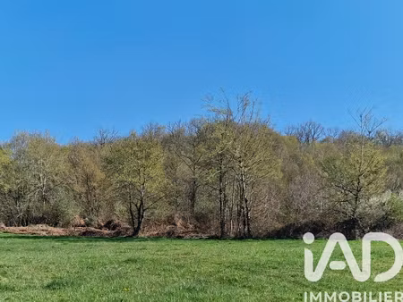 vente terrain 98 227 m²