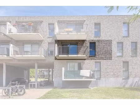 appartement te huur in hoboken met 1 slaapkamer