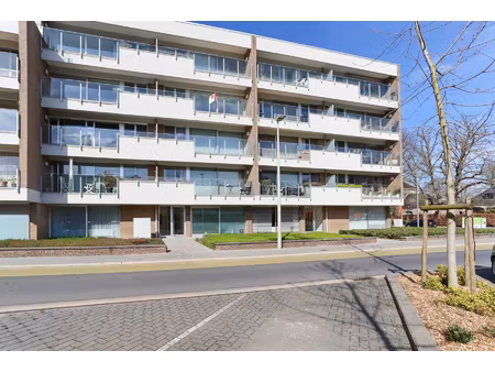 appartement te huur in beveren met 2 slaapkamers