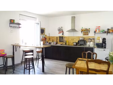 immeuble lavelanet 10 pièce(s) 260 m2