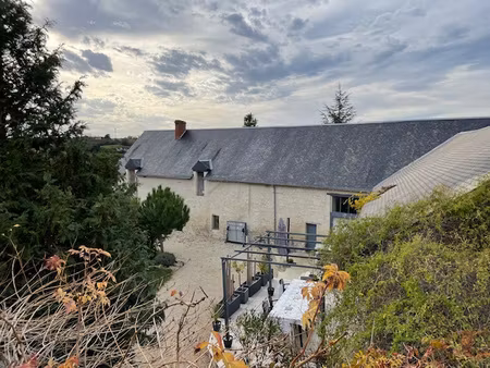 achat maison 8 pièces 214m² oyre 86220