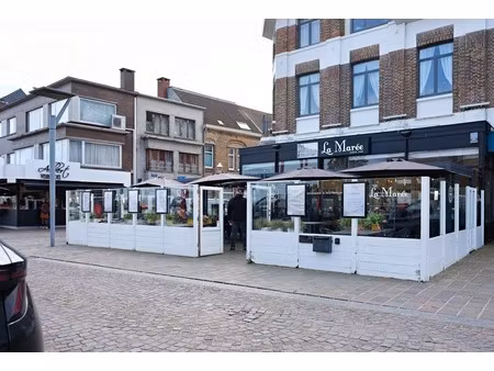 commercieel te koop in nieuwpoort