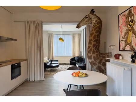 huis te koop in gent met 4 slaapkamers