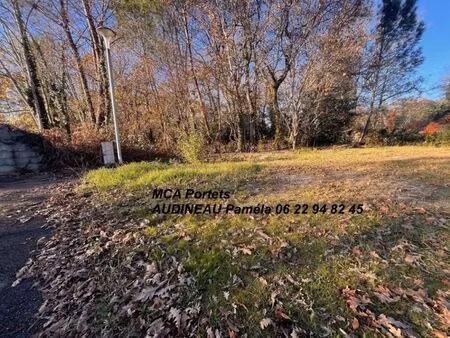 vente terrain 1000 m² landiras (33720)