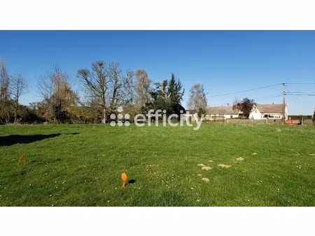 terrain - 1306 m²
