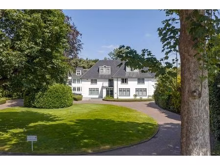 kantoren 20 m² tot 260 m² te huur in turnhout. vanaf €280/mnd