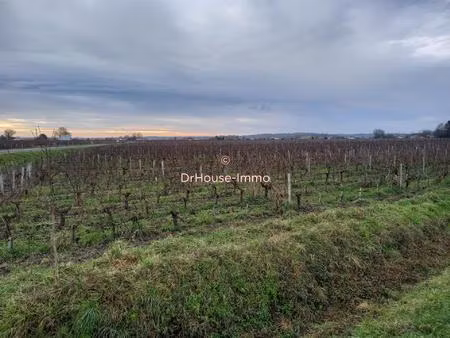 saint sulpice de faleyrens  parcelle de vigne 1ha