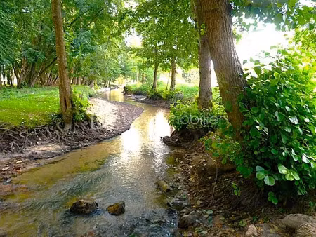 vente moulin 6 pièces 193 m² à casteljaloux (47700)  429 500 €