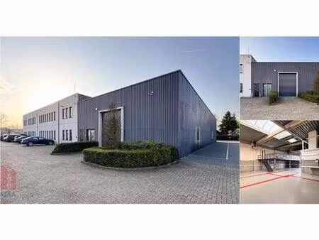 surface industrielle à vendre à doornveld 140 zellik (rbv49080)