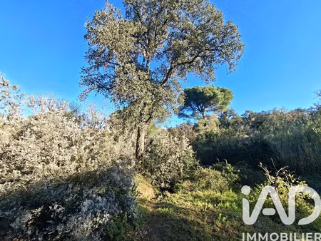 vente terrain à argelès-sur-mer (66700) : à vendre / 2880m² argelès-sur-mer