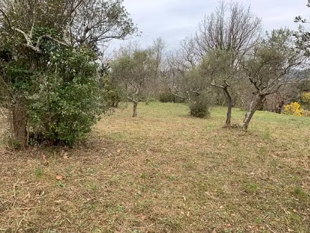 vente terrain à construire 1760 m² brignoles (83170)
