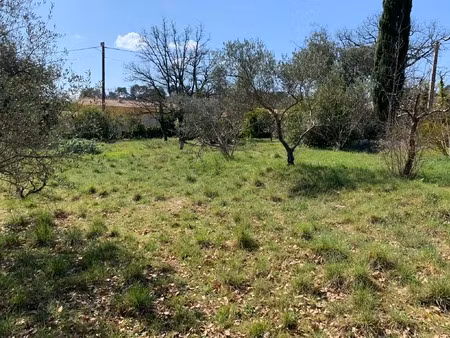 vente terrain à construire 805 m² garéoult (83136)