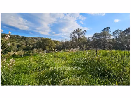 vente terrain 1200 m² lecci (20137)