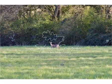 vente maison 8 pièces 157 m² autry-le-châtel (45500)