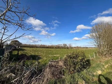 vente terrain 11461m2 sedze-maubecq 64160 - 18000 € - surface privée